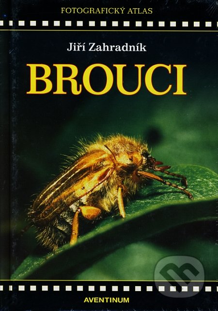 Brouci