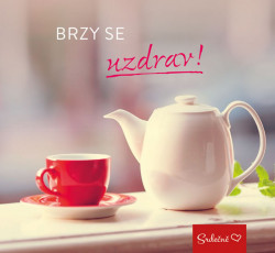 Brzy se uzdrav! - kniha z kategorie Beletrie