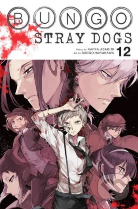 Bungo Stray Dogs 12
