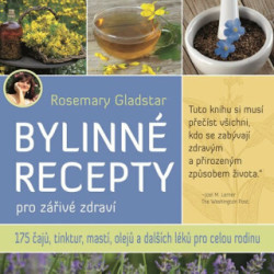 Bylinné recepty pro zářivé zdraví (175 čajů, tinktur, mastí, olejů a dalších léků pro celou rodinu) - kniha z kategorie Domácí léčba