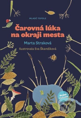 Čarovná lúka na okraji mesta