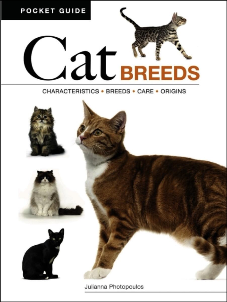 Cat Breeds