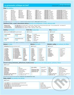 Česká gramatika v kostce (Francouzská verze)