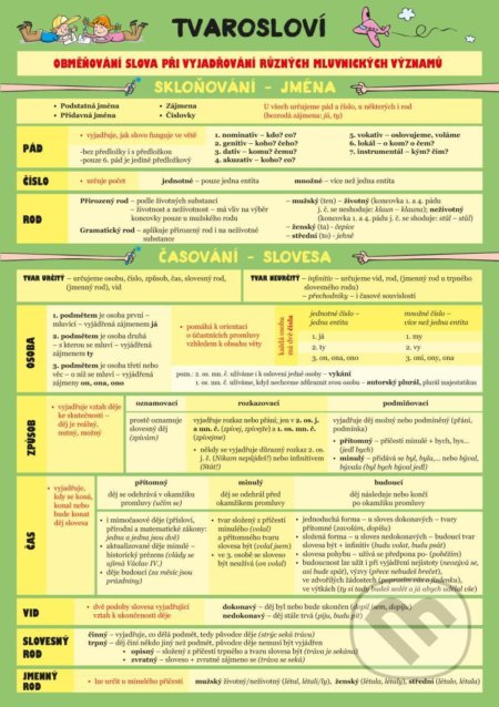 Český jazyk – Tvarosloví