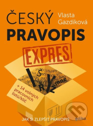 Český pravopis expres (Jak si zlepšit pravopis)