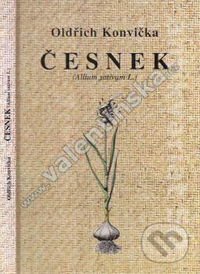 Česnek (Allium sativum L.)