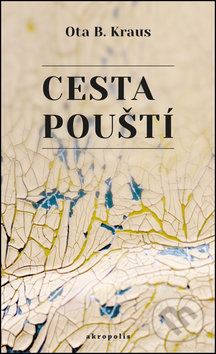 Cesta pouští