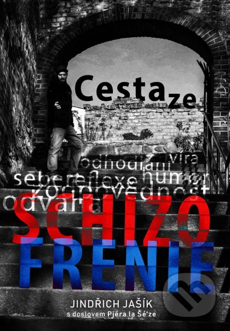 Cesta ze schizofrenie