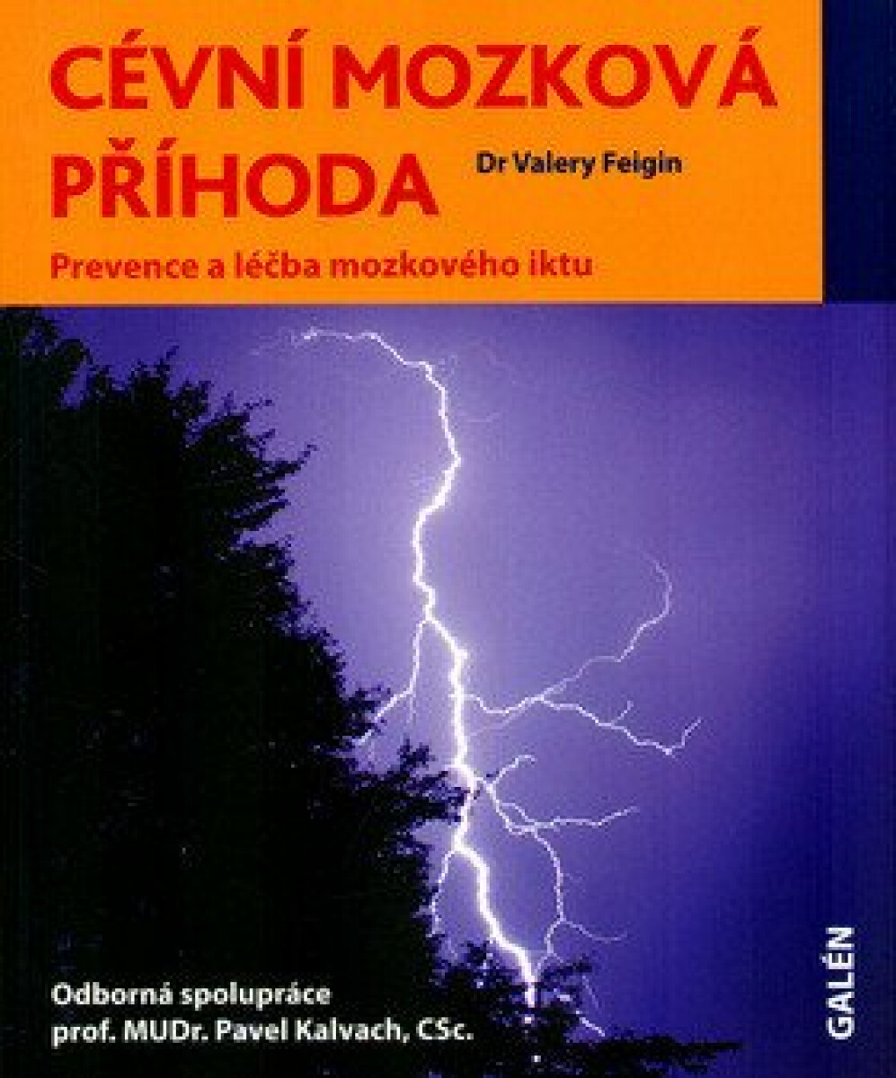 Cévní mozková příhoda - Valery Feigin