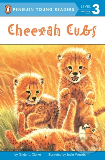 Cheetah Cubs