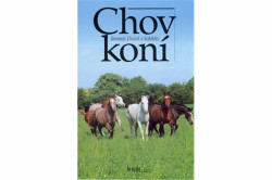 Chov koní
