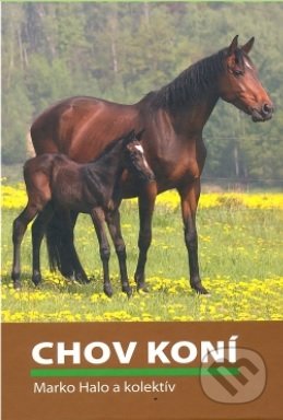 Chov koní