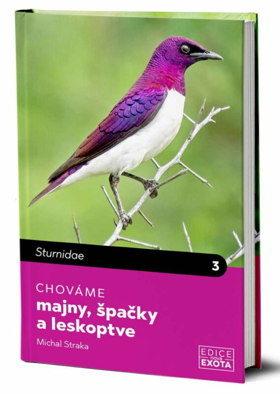 Chováme majny, špačky a leskoptve - Michal Straka