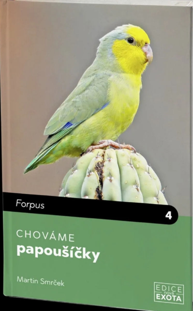 Chováme papoušíčky