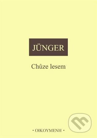 Chůze lesem