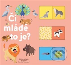 Čí mládě to je?