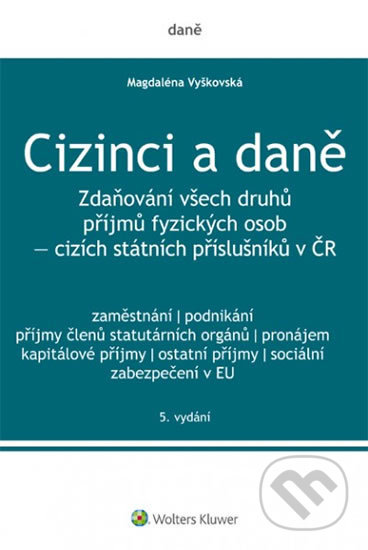 Cizinci a daně