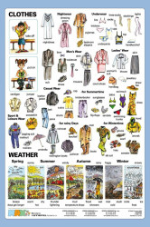 Clothes