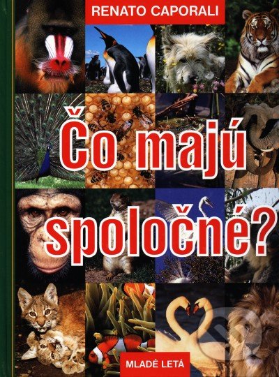 Čo majú spoločné?