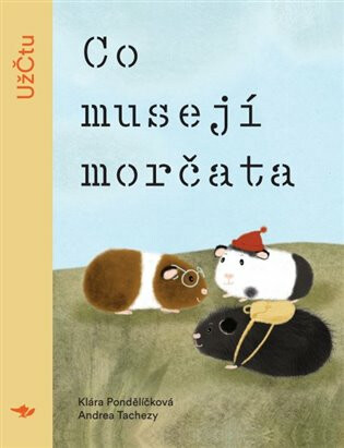 Co musejí morčata - Andrea Tachezy, Klára Pondělíčková
