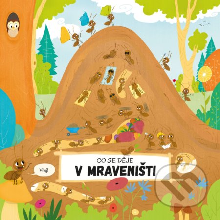 Co se děje v mraveništi
