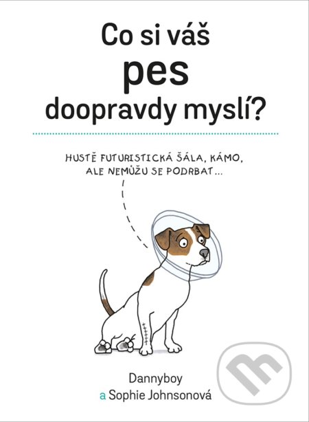 Co si váš pes doopravdy myslí