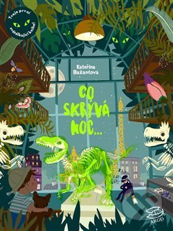 Co skrývá noc