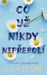 Co už nikdy nepřebolí (Do hodné holky se v žádném případě nezamiluje.)