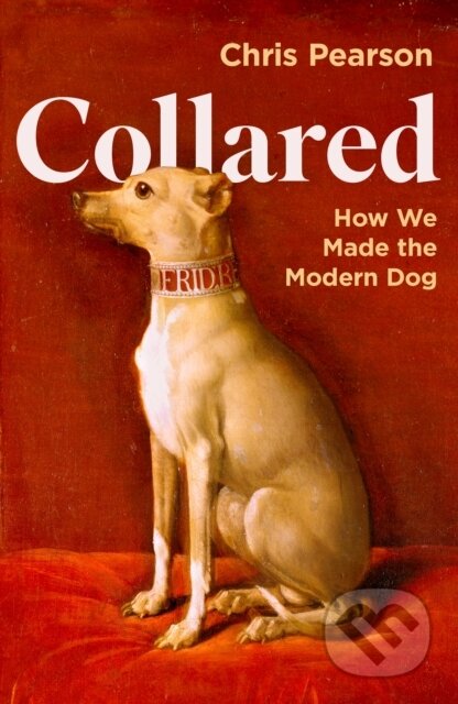 Collared (How We Made the Modern Dog)