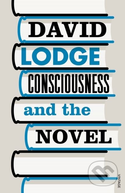 Consciousness And The Novel