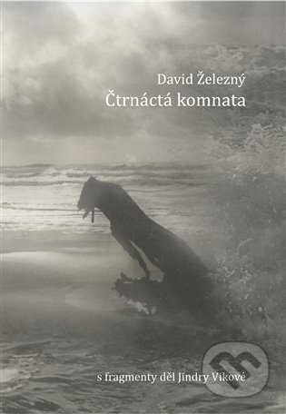 Čtrnáctá komnata