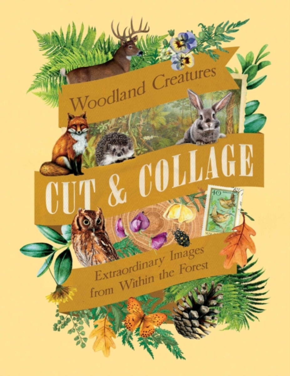 Cut & Collage Woodland Creatures