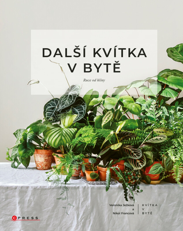 Další kvítka v bytě: Ruce od hlíny - Nikol Francová, Veronika Ježková