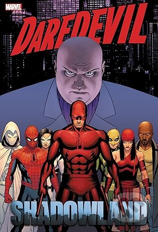 Daredevil: Shadowland Omnibus (Cassaday Cover)