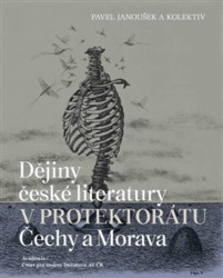 Dějiny české literatury v protektorátu Čechy a Morava - kniha z kategorie Literární věda