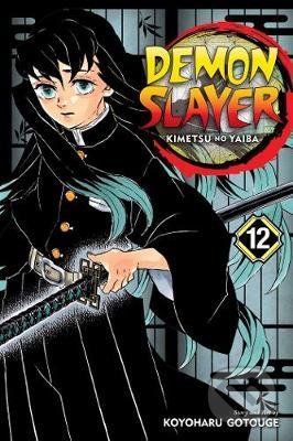 Demon Slayer: Kimetsu no Yaiba (Volume 12)