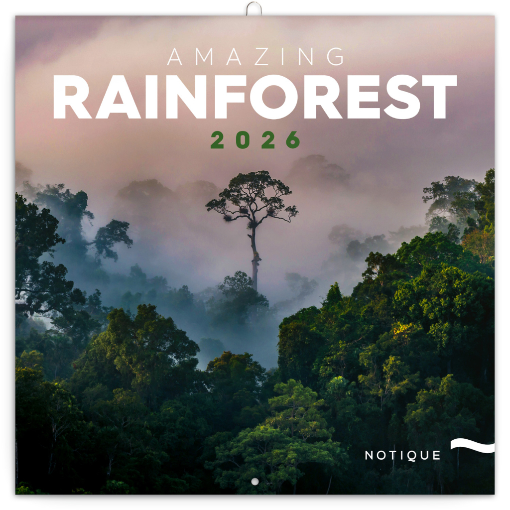 Deštné prales 2026 - nástěnný kalendář