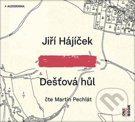 Dešťová hůl (audiokniha) (CD (mp3))