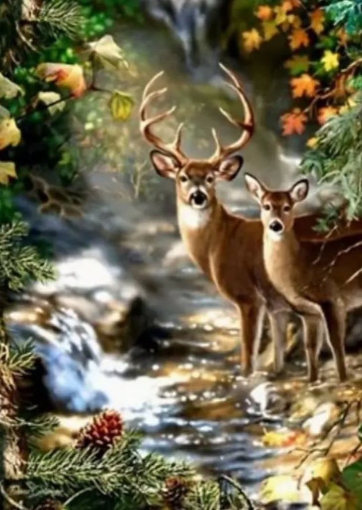 Diamantové malování Jelen a srnka u lesního potoka 30x40cm