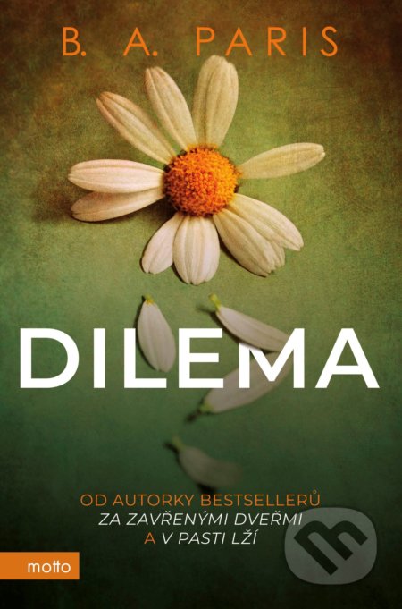 Dilema (český jazyk)