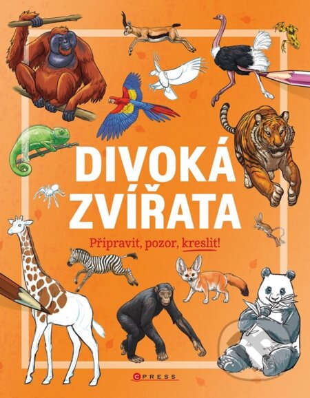Divoká zvířata (Připravit, pozor, kreslit!)