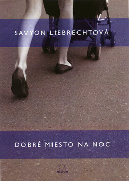 Dobré miesto na noc - Savyon Liebrechtová