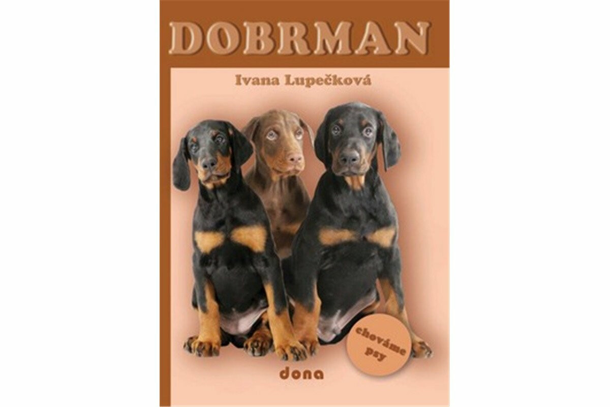 Dobrman - chováme psy - Ivana Lupečková