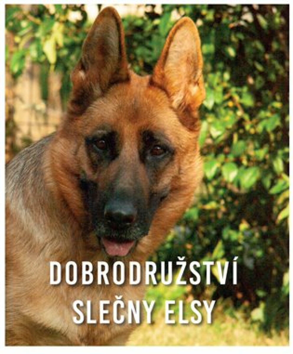 Dobrodružství slečny Elsy