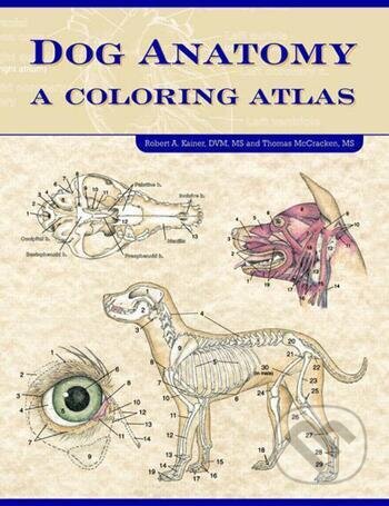 Dog Anatomy (A Coloring Atlas)