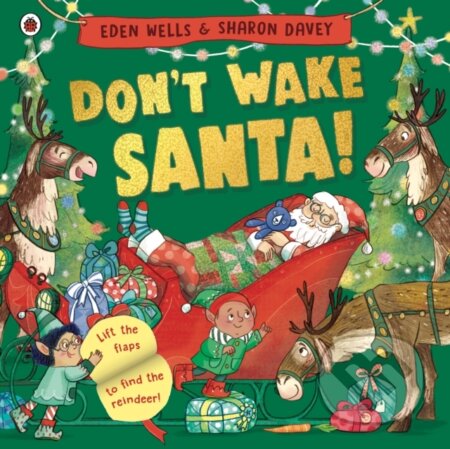 Don't Wake Santa (A lift-the-flap Christmas book)