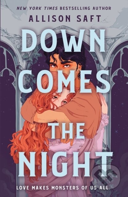 Down Comes the Night (A Novel)