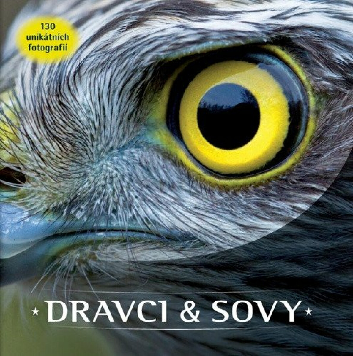 Dravci a sovy (150 unikátních fotografií) - kniha z kategorie Biologie
