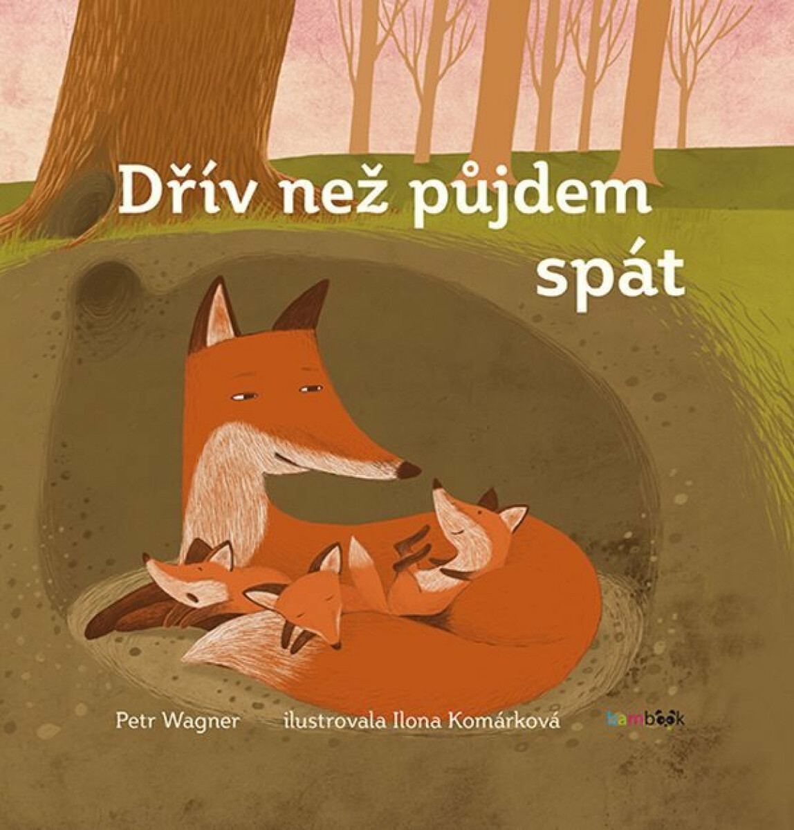 Dřív, než půjdem spát - Petr Wagner, Ilona Komárková