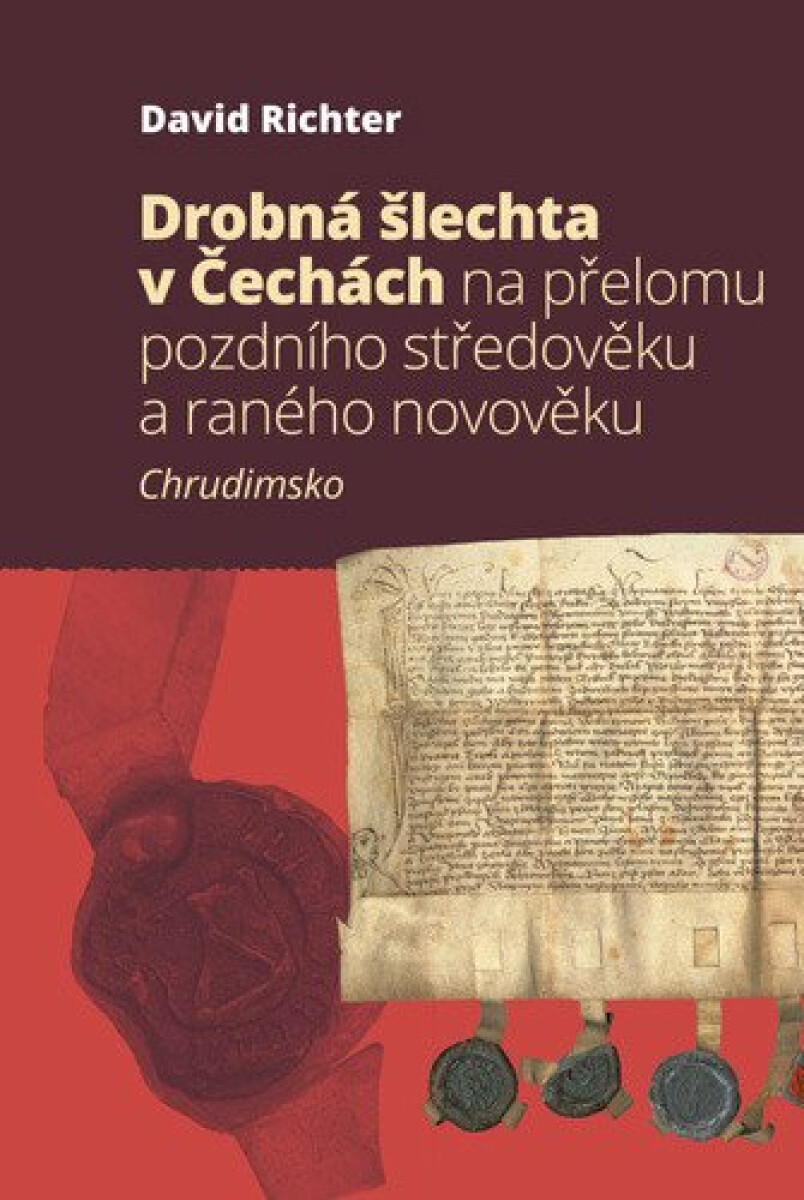 Drobná šlechta v Čechách na přelomu pozdního středověku a raného novověku - David Richter